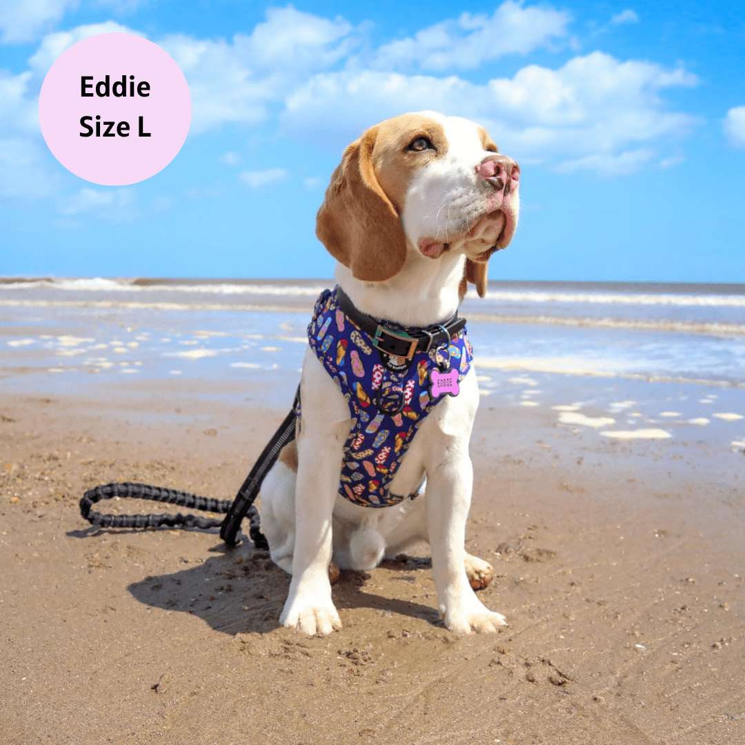 Zelda & Harley Harness Sole Mates - No Pull Adjustable Dog Harness