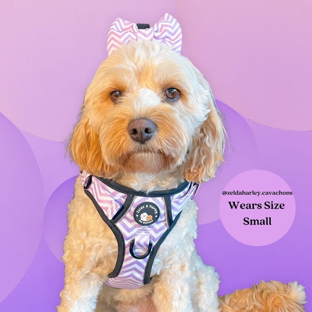 Zelda & Harley Harness Zig Zag Wag Pastel Purple - Adventure No Pull Harness