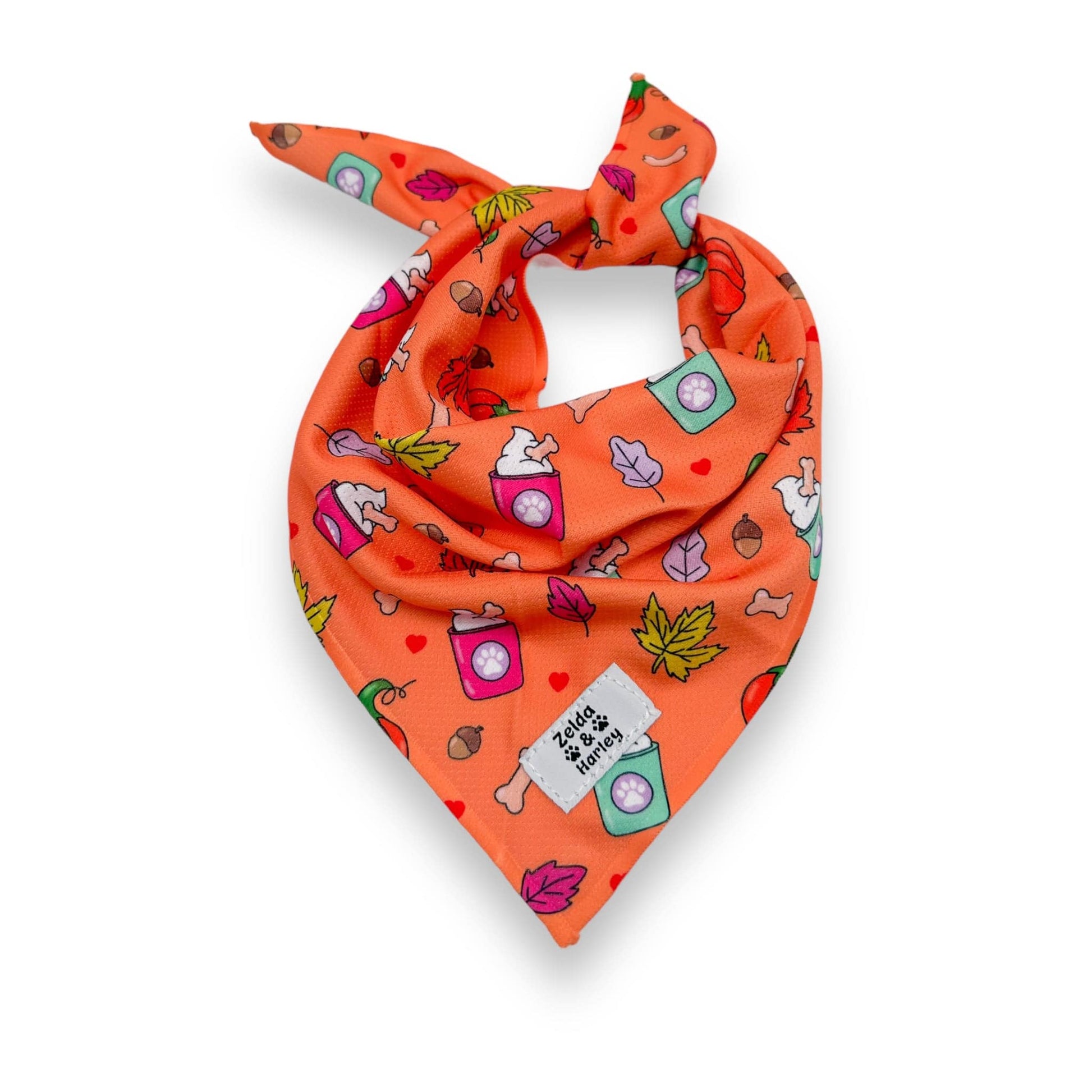 Pupkin Spice Bandana – Zelda & Harley