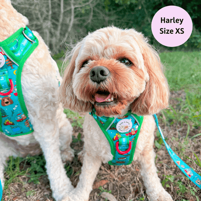 Zelda & Harley Harness Bark Ranger - Adventure No Pull Harness