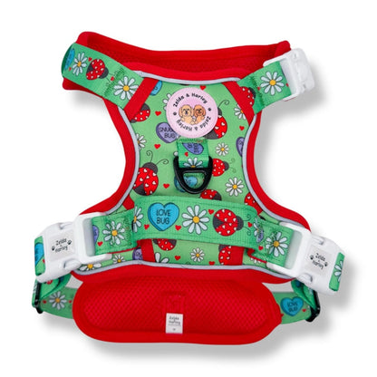 Zelda & Harley Harness Snuggle Bug - Adventure No Pull Harness