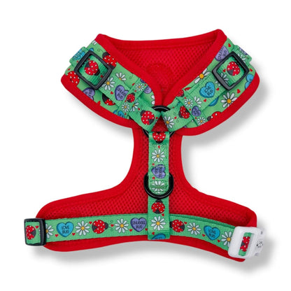 Zelda & Harley Harness Snuggle Bug - No Pull Adjustable Dog Harness