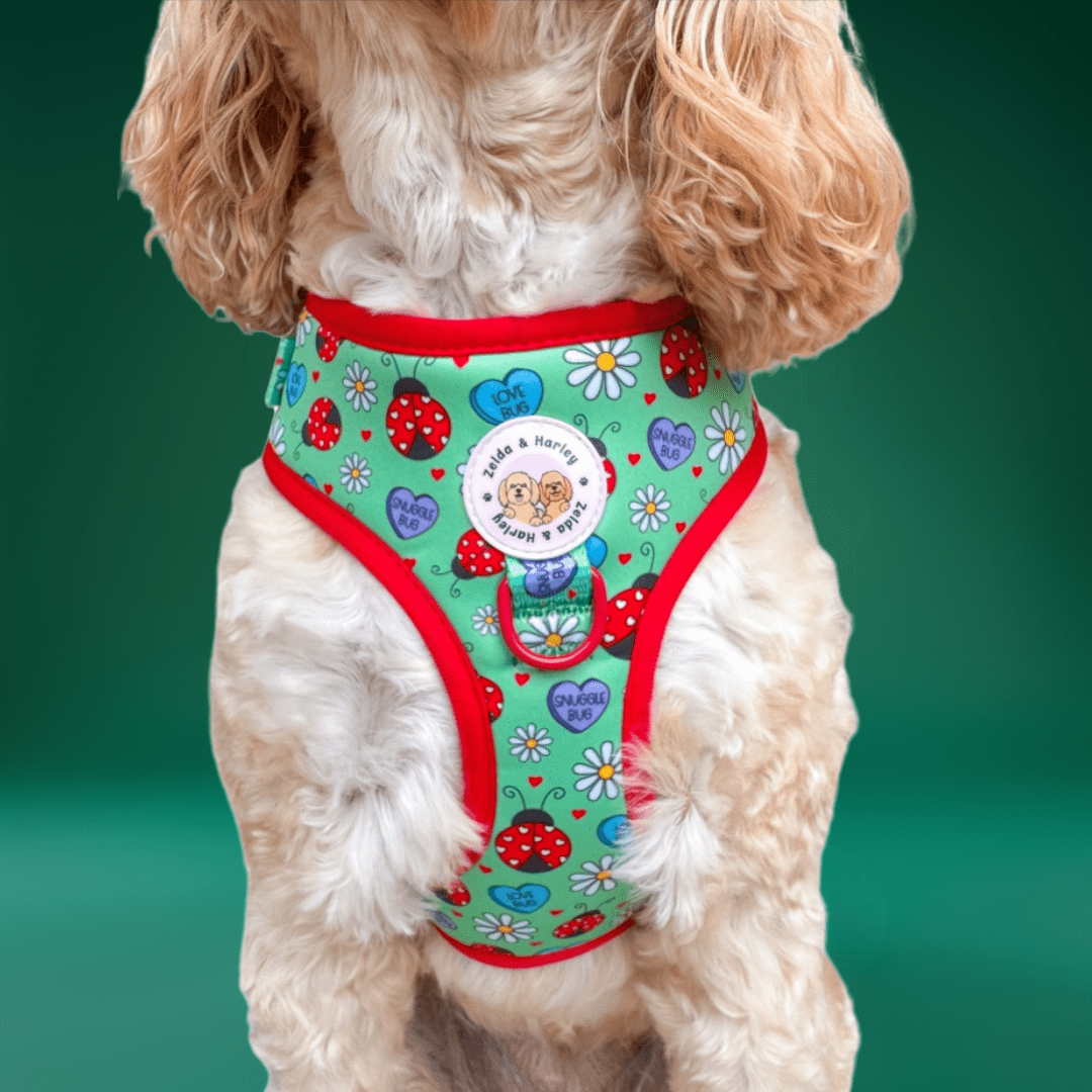 Zelda & Harley Harness Snuggle Bug - No Pull Adjustable Dog Harness